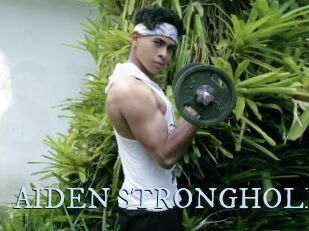 AIDEN_STRONGHOLD