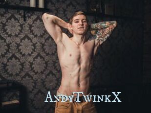 AndyTwinkX