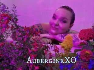 AubergineXO