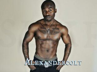 Alexandercolt