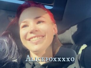 Alicefoxxxxo