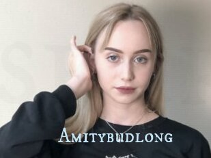 Amitybudlong