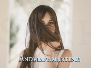 Andrianamartinis