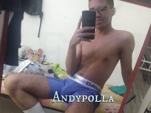 Andypolla