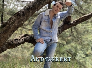 Andysgeert