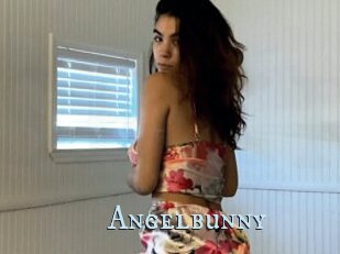 Angelbunny