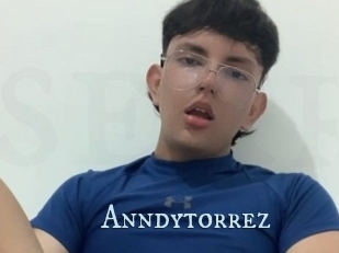 Anndytorrez