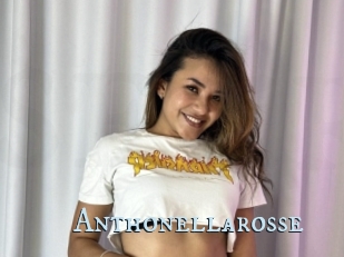 Anthonellarosse