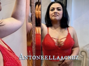 Antoneellaacruz