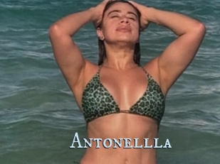 Antonellla