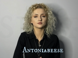 Antoniabeese