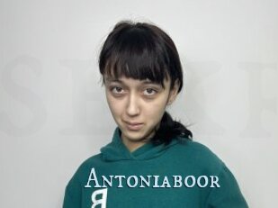 Antoniaboor