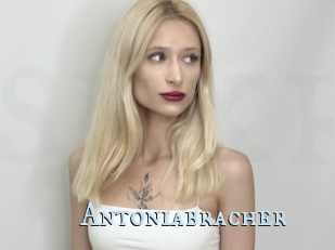 Antoniabracher