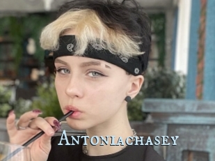 Antoniachasey