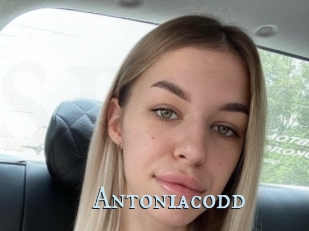 Antoniacodd