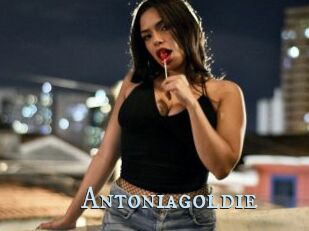 Antoniagoldie