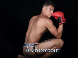 Antonycoot