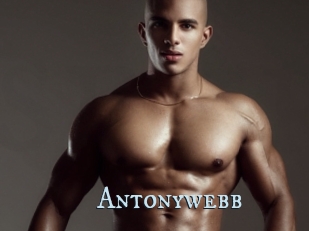 Antonywebb