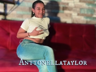 Anttonellataylor