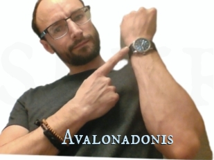 Avalonadonis