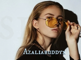 Azaliabuddyx