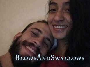 BlowsAndSwallows