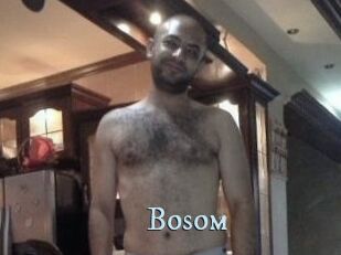 Bosom