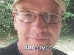 Bidrum209