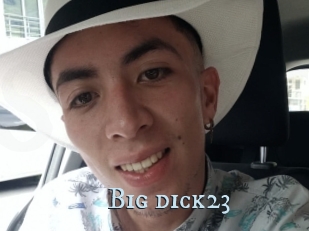 Big_dick23