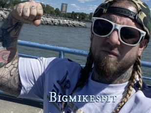 Bigmikesfit