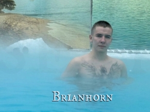 Brianhorn