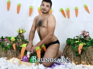 Brunosains