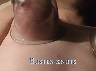 Bustin_knuts