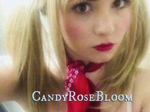 CandyRoseBloom