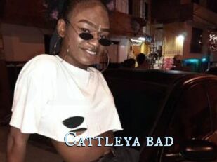 Cattleya_bad