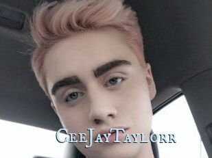 CeeJayTaylorr