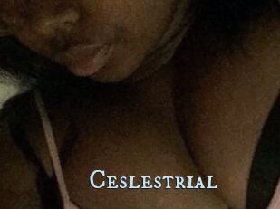 Ceslestrial