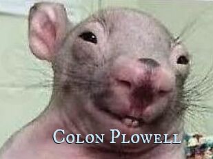 Colon_Plowell