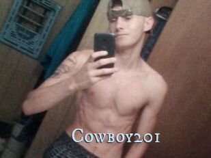 Cowboy201