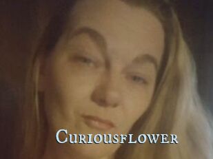 Curiousflower