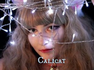 Calicat