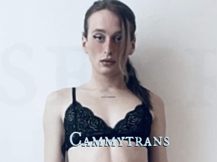 Cammytrans