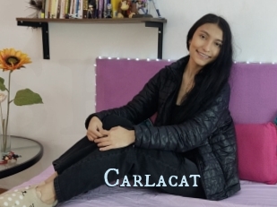 Carlacat