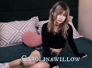 Carolinawillow