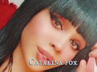 Catalina_fox