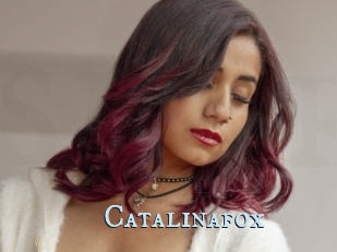 Catalinafox