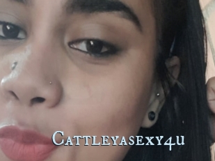 Cattleyasexy4u