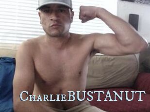 CharlieBUSTANUT