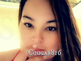 Cougar816