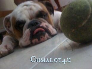 Cumalot4u